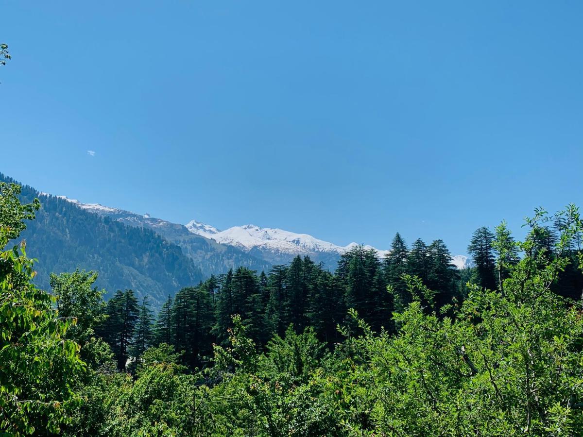 Jungle By Sturmfrei Manali Hostel Buitenkant foto